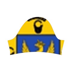 Soto Coat of Arm Kids  Short Sleeve Velvet Dress from ArtsNow.com Right Sleeve