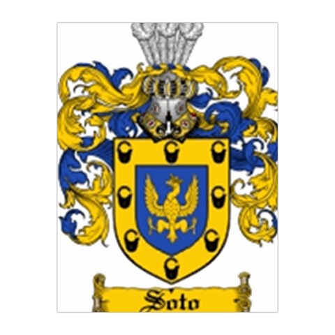 Soto Coat of Arm Medium Tapestry from ArtsNow.com Front