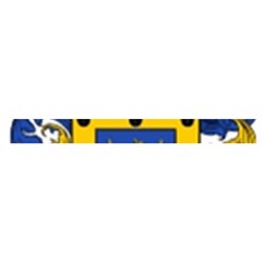 Soto Coat of Arm Cross Back Hipster Bikini Set from ArtsNow.com Waistband
