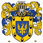 Soto Coat of Arm Long Sheer Chiffon Scarf 
