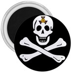 aphi que apo pirate logo 3  Magnet