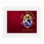 a phi que apo 59608 Glasses Cloth (Small, Two Sides)