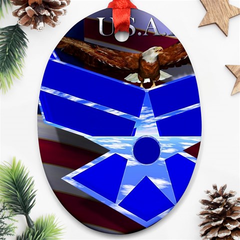 Air Force 4_WP Ornament (Oval) from ArtsNow.com Front