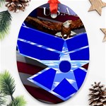 Air Force 4_WP Ornament (Oval)