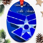 Air Force 3_WP Oval Ornament (Two Sides)