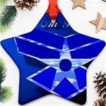 Air Force 3_WP Star Ornament (Two Sides)