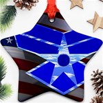 Air Force 1_WP Ornament (Star)