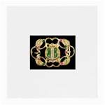 AKA NSEG1055 Glasses Cloth (Medium, Two Sides)