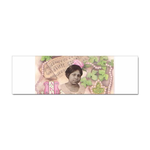Alpha Kappa Alpha mmprool Sticker Bumper (10 pack) from ArtsNow.com Front