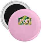 AKA Relic 3  Magnet