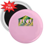 AKA Relic 3  Magnet (10 pack)