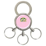 AKA Relic 3-Ring Key Chain