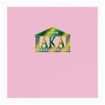 AKA Relic Glasses Cloth (Medium)