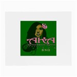 AKA Glam BNO Glasses Cloth (Small, Two Sides)