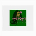 AKA Glam Glasses Cloth (Small)