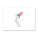 aka pearls Sticker A4 (10 pack)
