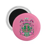 aka GSTA AKA_B 2.25  Magnet