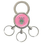 aka GSTA AKA_B 3-Ring Key Chain