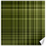 Green Madras Plaid Canvas 16  x 16 