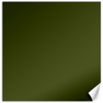 Army Green Solid Color Canvas 20  x 20 