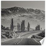 Deserted Landscape Highway, San Juan Province, Argentina Canvas 20  x 20 