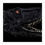 Trex Dinosaur Head Dark Poster Medium Glasses Cloth