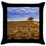 Patagonia Landscape Scene, Santa Cruz - Argentina Throw Pillow Case (Black)