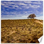 Patagonia Landscape Scene, Santa Cruz - Argentina Canvas 12  x 12 
