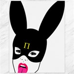 Bunny Girl Mask Canvas 12  x 16 
