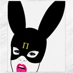 Bunny Girl Mask Canvas 16  x 20 