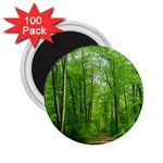 In the forest the fullness of spring, green, 2.25  Magnets (100 pack) 