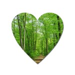 In the forest the fullness of spring, green, Heart Magnet