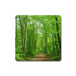 In the forest the fullness of spring, green, Square Magnet