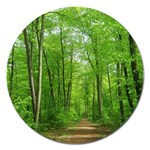 In the forest the fullness of spring, green, Magnet 5  (Round)