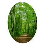 In the forest the fullness of spring, green, Oval Ornament (Two Sides)