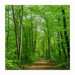 In the forest the fullness of spring, green, Medium Glasses Cloth (2 Sides)