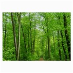 In the forest the fullness of spring, green, Large Glasses Cloth