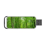 In the forest the fullness of spring, green, Portable USB Flash (Two Sides)