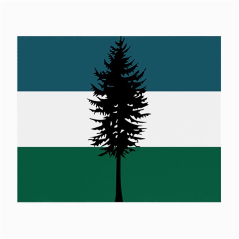 Flag of Cascadia  Small Glasses Cloth from ArtsNow.com Front