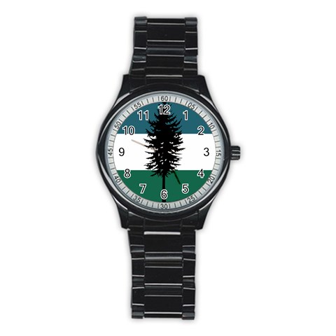 Flag of Cascadia  Stainless Steel Round Watch from ArtsNow.com Front