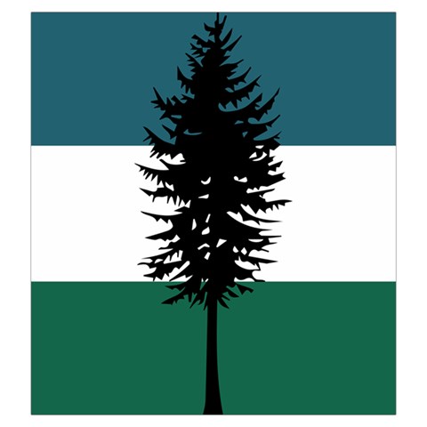 Flag of Cascadia  Drawstring Pouch (Large) from ArtsNow.com Front