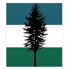 Flag of Cascadia  Duvet Cover Double Side (King Size) from ArtsNow.com Front