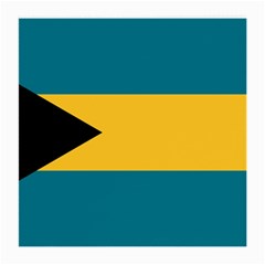 Flag of the Bahamas Medium Glasses Cloth (2 Sides) from ArtsNow.com Back
