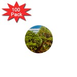 Carob Tree, Talampaya National Park, La Rioja, Argentina 1  Mini Magnets (100 pack) 