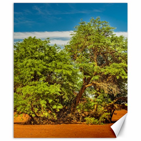 Carob Tree, Talampaya National Park, La Rioja, Argentina Canvas 8  x 10  from ArtsNow.com 8.15 x9.66  Canvas - 1