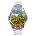 Carob Tree, Talampaya National Park, La Rioja, Argentina Stainless Steel Analogue Watch