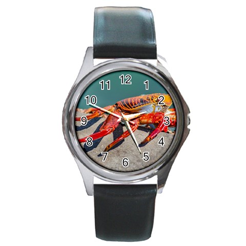 Colored Crab, Galapagos Island, Ecuador Round Metal Watch from ArtsNow.com Front