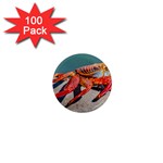 Colored Crab, Galapagos Island, Ecuador 1  Mini Magnets (100 pack) 