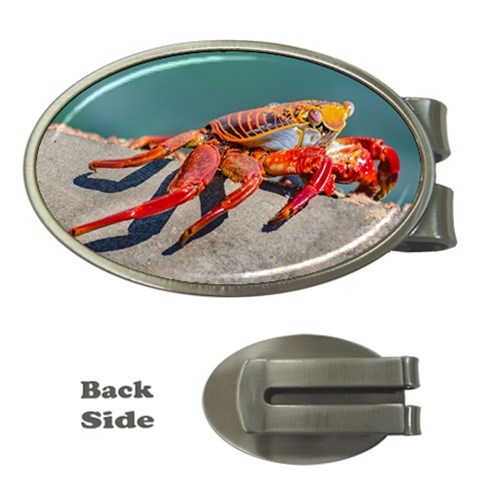 Colored Crab, Galapagos Island, Ecuador Money Clips (Oval)  from ArtsNow.com Front