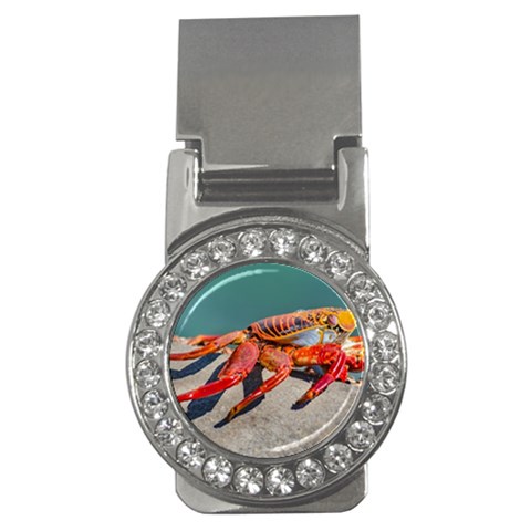 Colored Crab, Galapagos Island, Ecuador Money Clips (CZ)  from ArtsNow.com Front